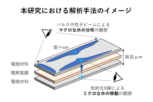 本研究における解析手法のイメージ