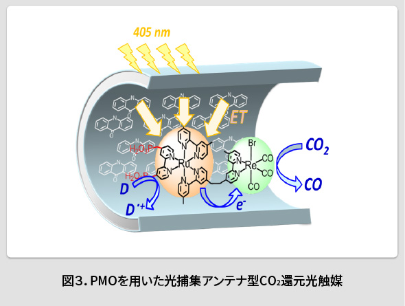 図3．PMOを用いた光捕集アンテナ型CO2還元光触媒