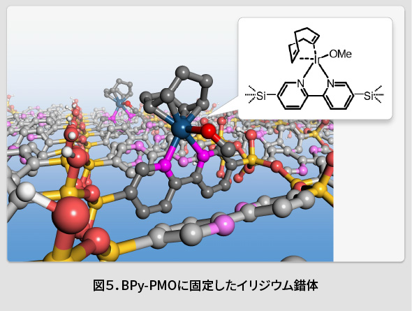 図5.BPy-PMOに固定したイリジウム錯体