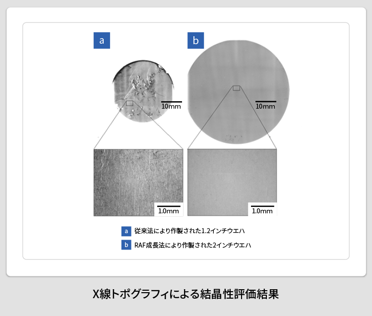 X線トポグラフィによる結晶性評価結果