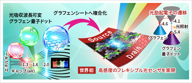 グラフェン量子ドット光センサの概要図