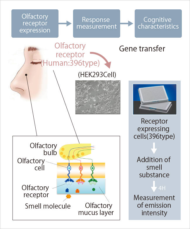 Smell-Based Analysis and Control