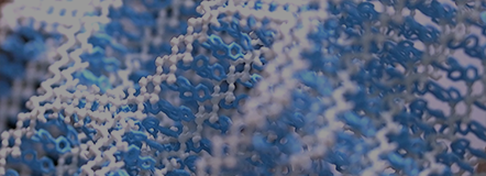 Representative Research Results