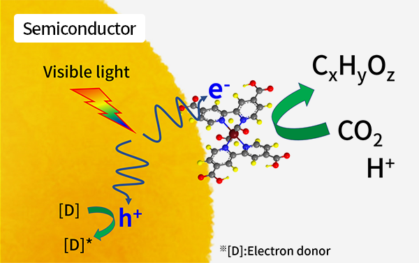 Fig. 2  Reaction mechanism for artificial photosynthesis utilizing a semiconductor/metal-complex hybrid photocatalyst.