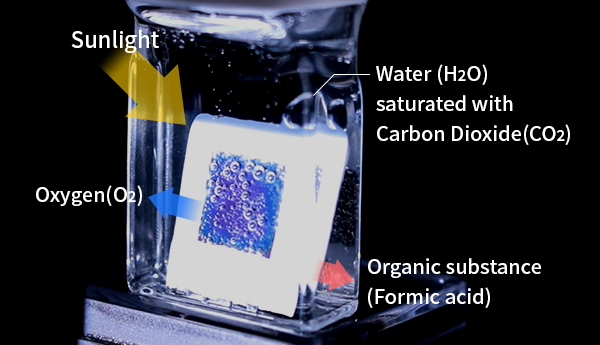 Fig. 3  Nitrogen and iron co-doped TNT arrays for visible-light-sensitive photoelectrochemical water oxidation.
