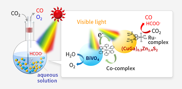 Fig. 4  Artificial photosynthesis over powdered metal-complex/semiconductor hybrid photocatalysts mediated by reduced graphene oxide.