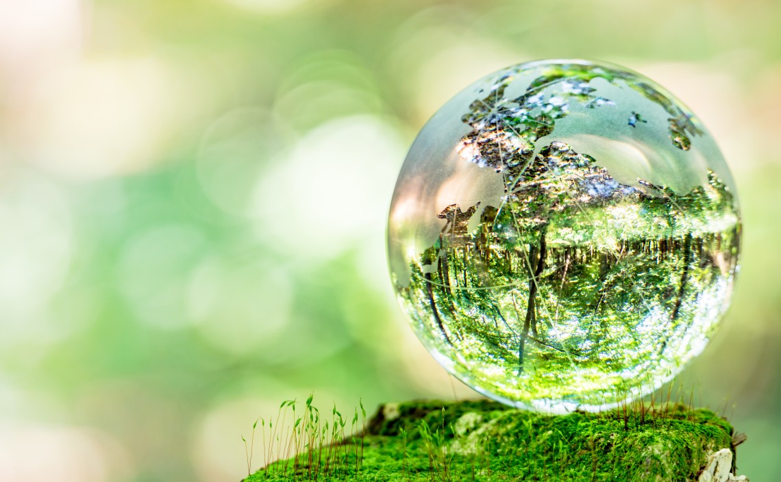 Enviromental Activities