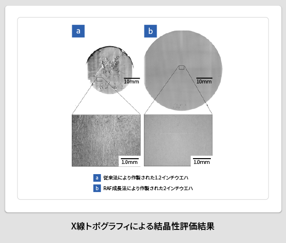 X線トポグラフィによる結晶性評価結果