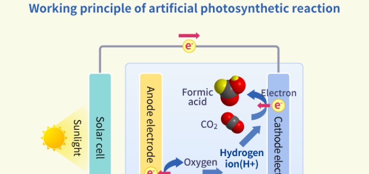 Artificial Photosynthesis