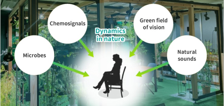 Symbiotic Spaces with Plants and Microorganisms