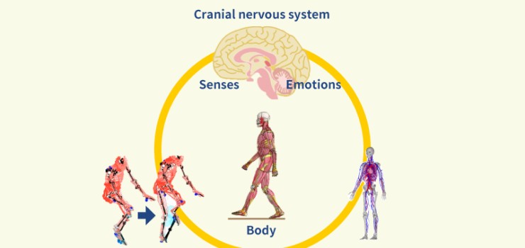 Creating a moving, feeling human body in digital space