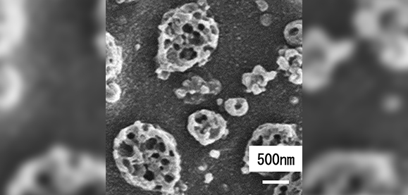 トヨタ紡織と豊田中央研究所が共同開発した高耐衝撃プラスチックが「文部科学大臣表彰 科学技術賞」を受賞
