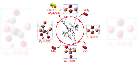 CO2から炭素数3の化合物を合成する分子触媒を開発 ～CO2の高エネルギー物質への再資源化に向けた触媒設計に貢献～