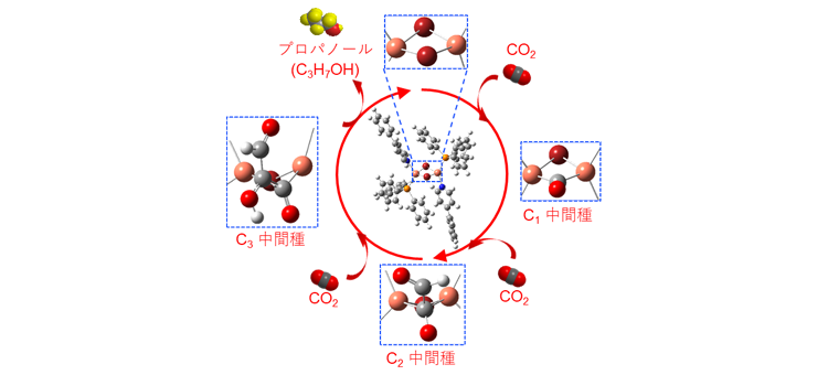 図1. 本研究の全体像
