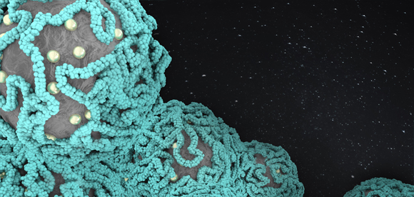 燃料電池の未来を拓く～触媒層内の”水”を定量的に評価する新手法の確立～