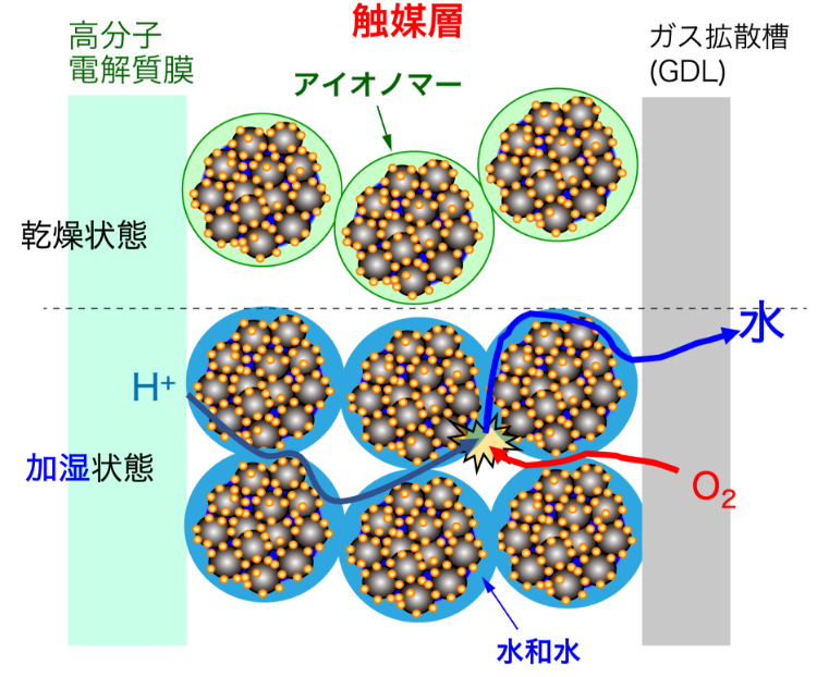 新評価方法で定量化された燃料電池触媒層内の水分布の様子