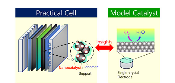 燃料電池と水電解をめぐる触媒研究の進展とこれから