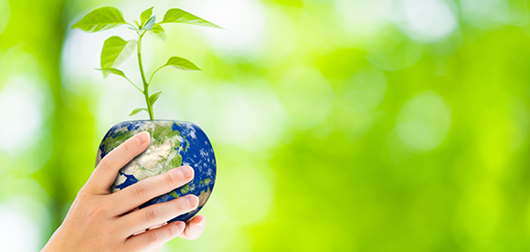 人工光合成における電子伝達剤の価数変化をリアルタイム観察