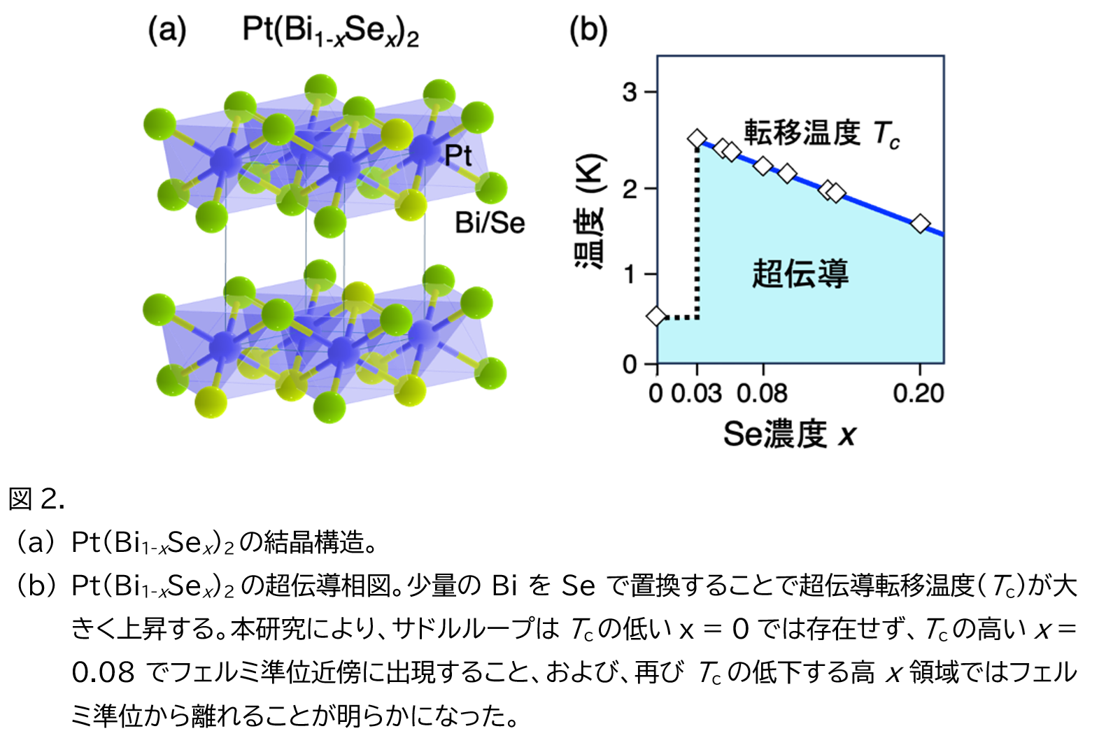 図2.
(a)	Pt(Bi1-xSex)2の結晶構造。
(b)	Pt(Bi1-xSex)2の超伝導相図。少量のBiをSeで置換することで超伝導転移温度(Tc)が大きく上昇する。本研究により、サドルループはTcの低いx = 0では存在せず、Tcの高いx = 0.08でフェルミ準位近傍に出現すること、および、再びTcの低下する高x領域ではフェルミ準位から離れることが明らかになった。