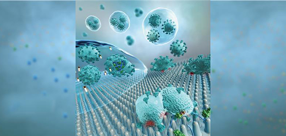 銅×ナノ構造による化学・機械作用の相補的ウイルス不活化技術