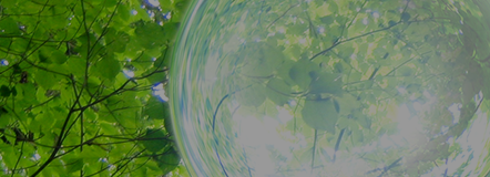 社会・人に関する取り組み