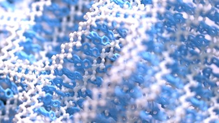 代表的な研究成果