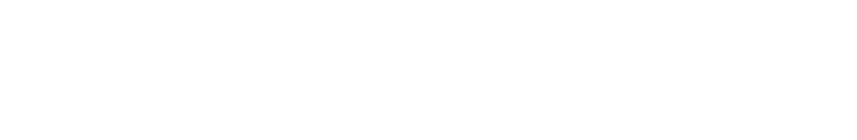 SUMMER INTERNSHIP in AICHI